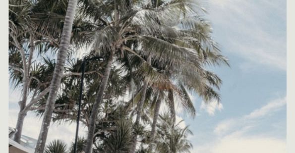 Dowling Neylan Quarterly Market Report