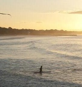 Noosa Market Stays Warm as Winter Looms